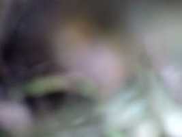 Free download Abstracts by Kaiile Vouvais [2016.05.28] free photo or picture to be edited with GIMP online image editor